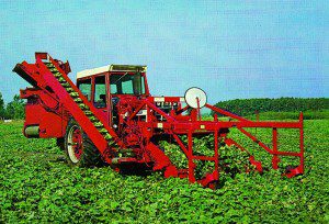 A Wilde Manufacturing cucumber harvester in the 1980s.