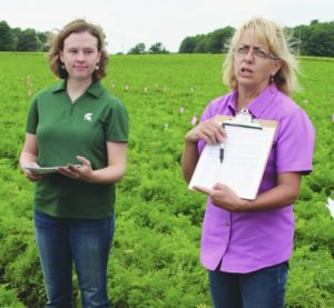 Irene Donne, a Michigan State University graduate student, left, and Mary Hausbeck, MSU professor and Extension specialist, discuss foliar disease of carrot research.