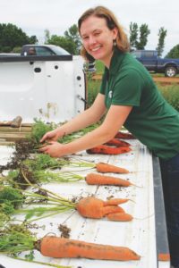 Irene Donne, an MSU graduate student, conducts foliar disease research on the Ralph and Ken Oomen farm in Michigan.