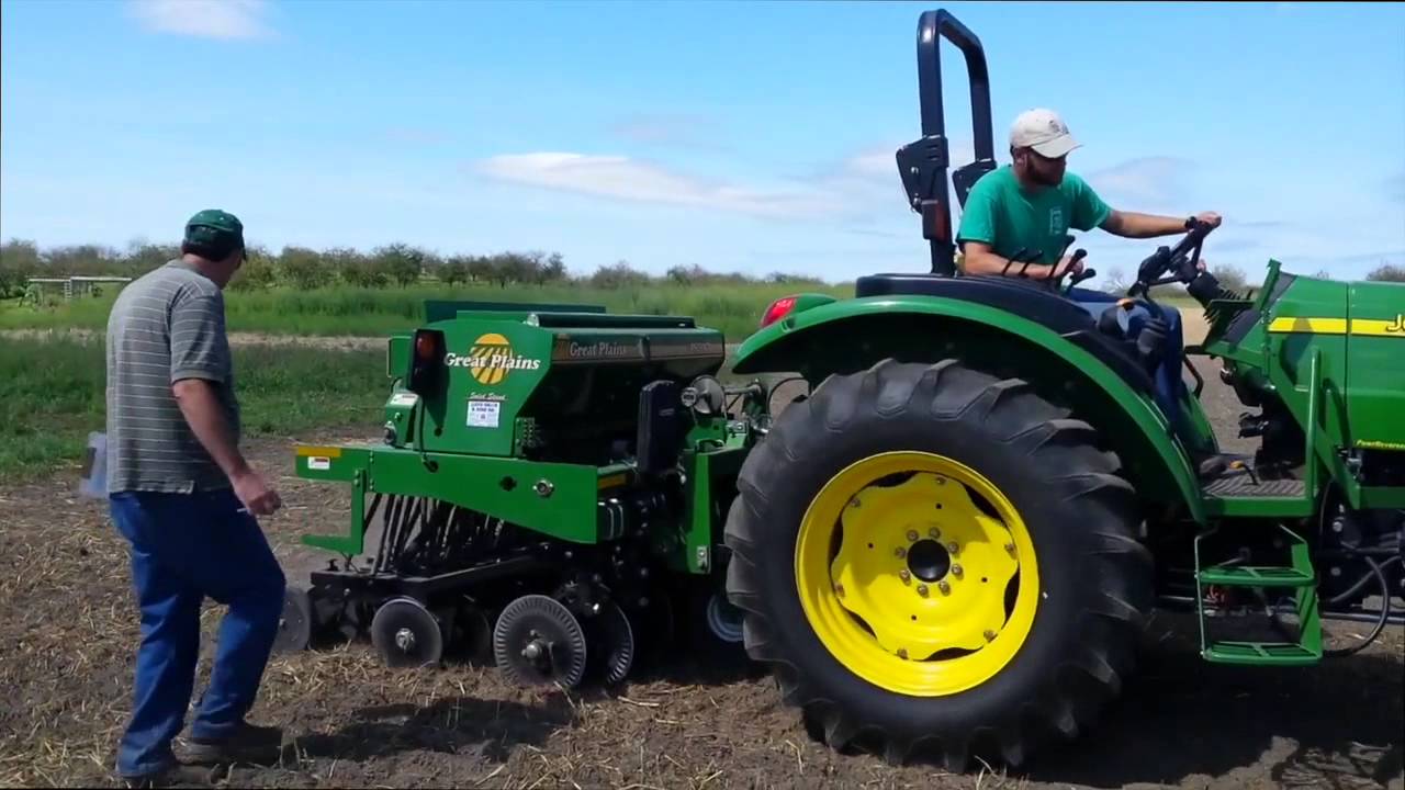 Using Mustard Cover Crops for Biofumigation Vegetable Growers News