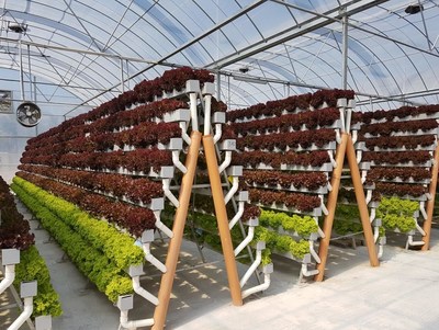 hydroponic greenhouse plans
