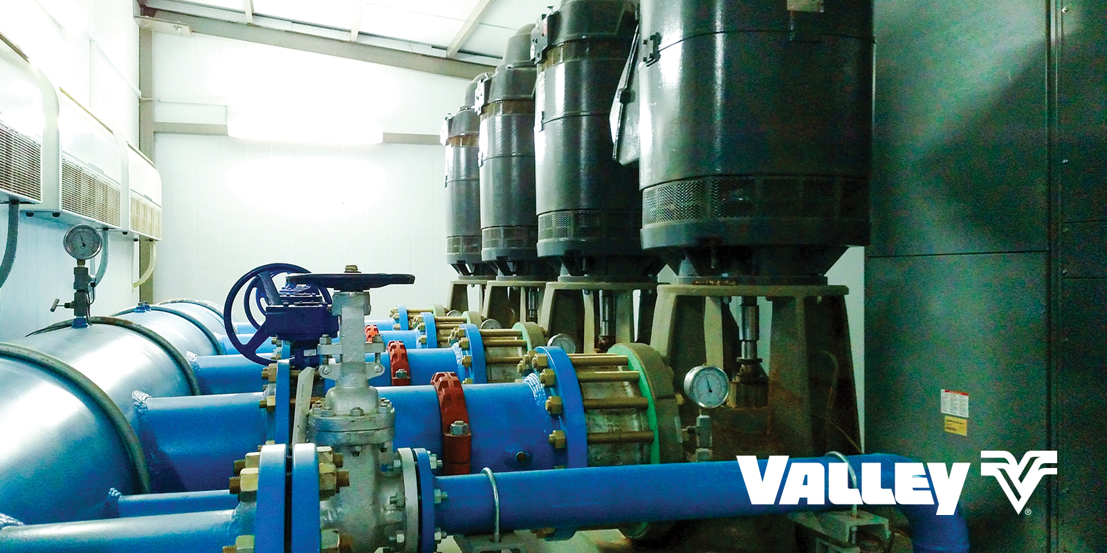 Valmont buys stake in Torrent Engineering & Equipment Vegetable