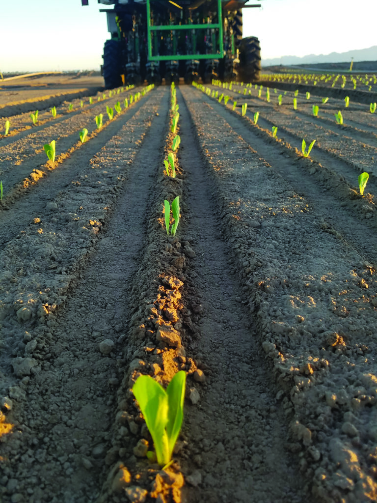 PlantTape product promises growers a streamlined start Vegetable