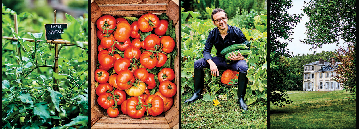 Paris Four  Seasons  hotel  tries growing its own vegetables  