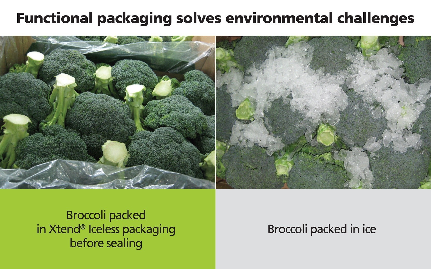 StePac promises to take broccoli packaging “out of the Ice Age