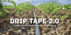 Drip Irrigation