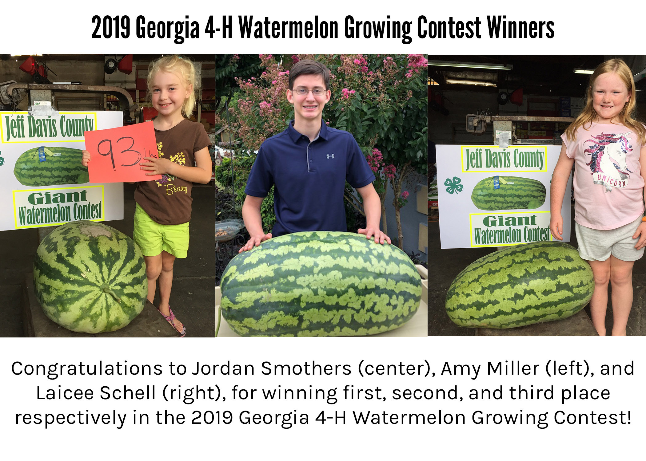 Big Watermelons Vegetable Growers News
