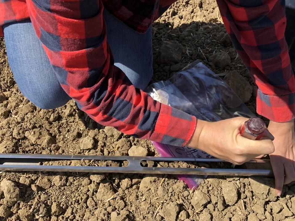 soil sampling at Russell Ranch