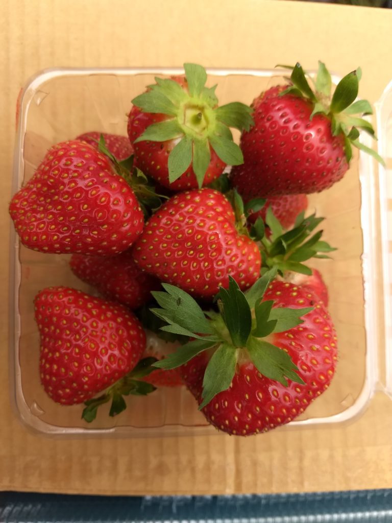 Keepsake strawberries