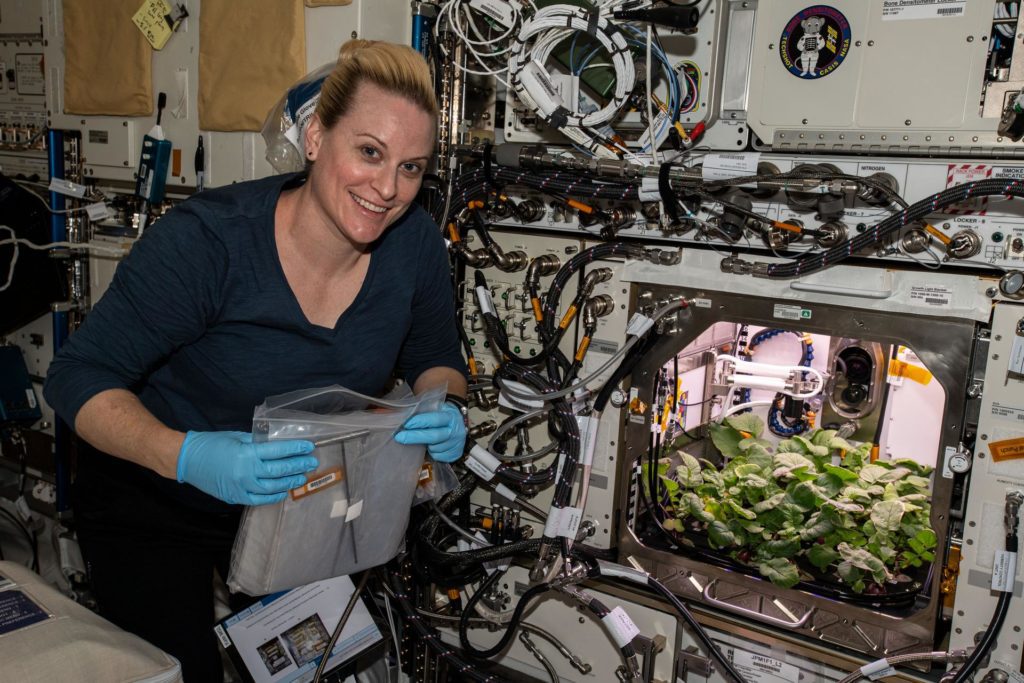 radishes grown in space