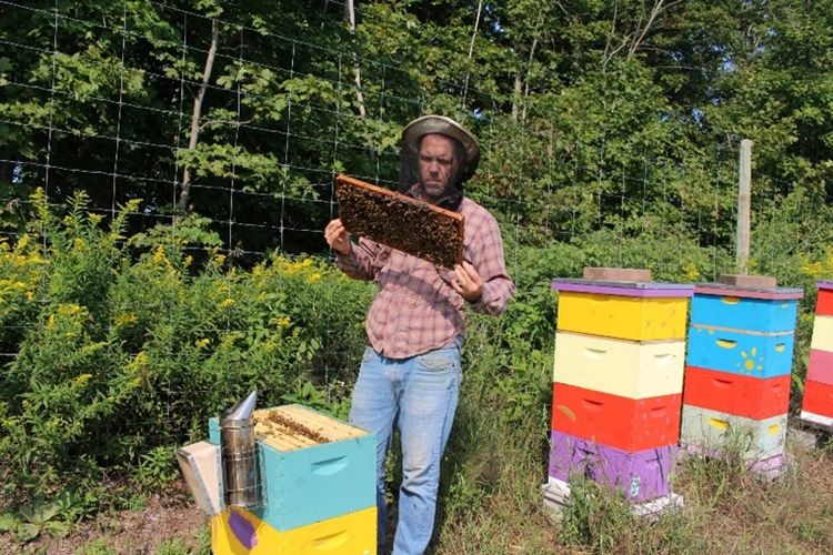 Michigan Beekeepers’ Association Virtual 2021 Spring Conference set