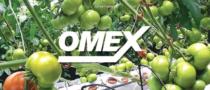 photo of tomatoes with OMEX logo in white