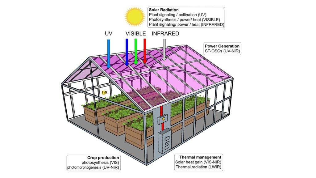 solar greenhouse illustration