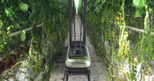 Biobest invests in Arugga; to distribute its pollination robots in the
