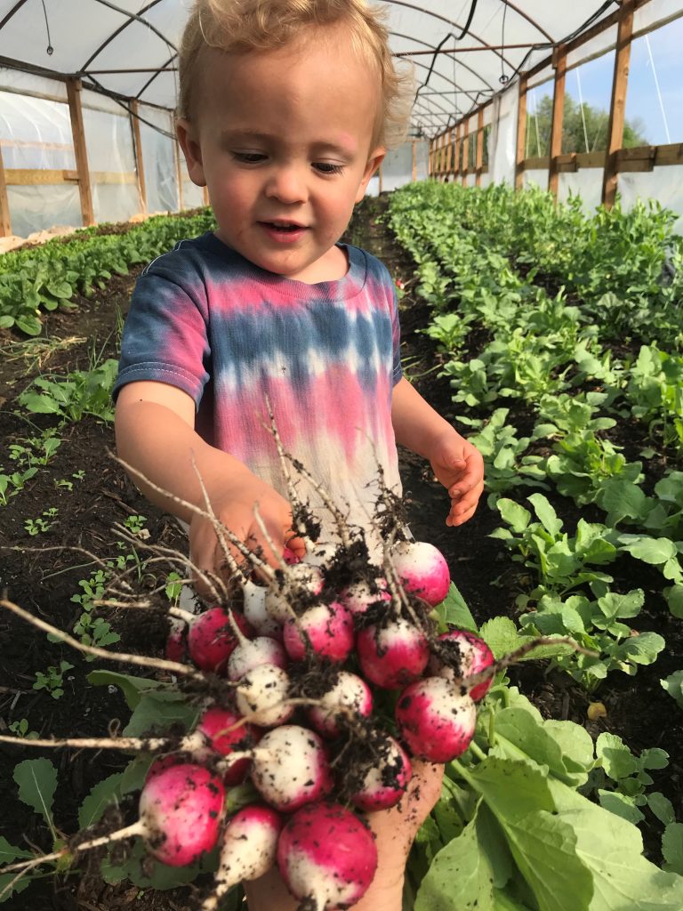 A farming dream turned reality at North Carolina's Seven Sisters Farm