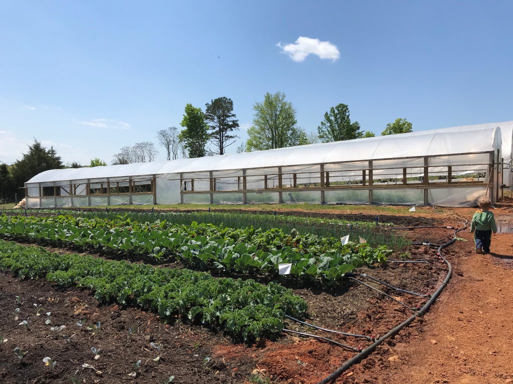 Seven Sisters 5 greenhouse Vegetable Growers News