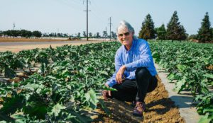 Tim Baloian in eggplant field