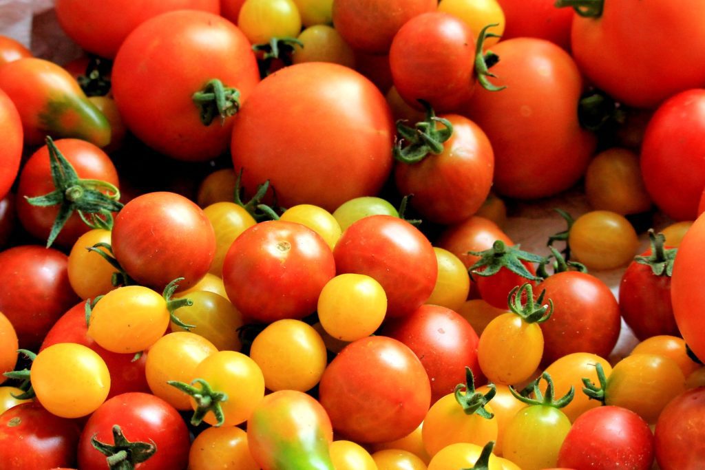 Close-up of tomatoes of different sizes and shades of red.