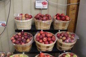 Farm-market-apples