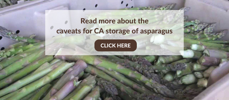Plastic bin full of fresh asparagus spears