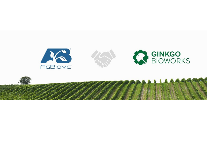 AgBiome-Ginkgo-Bioworks
