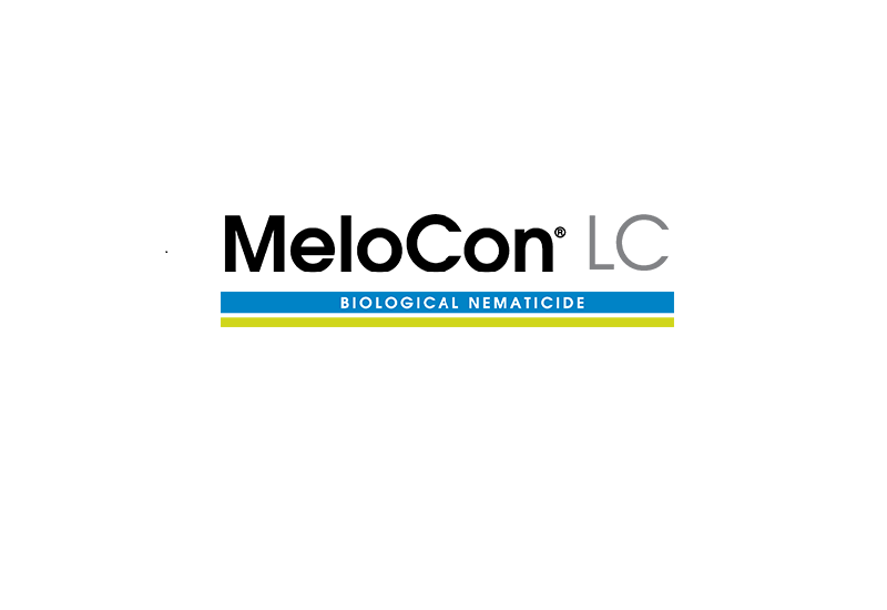 Melocon-logo
