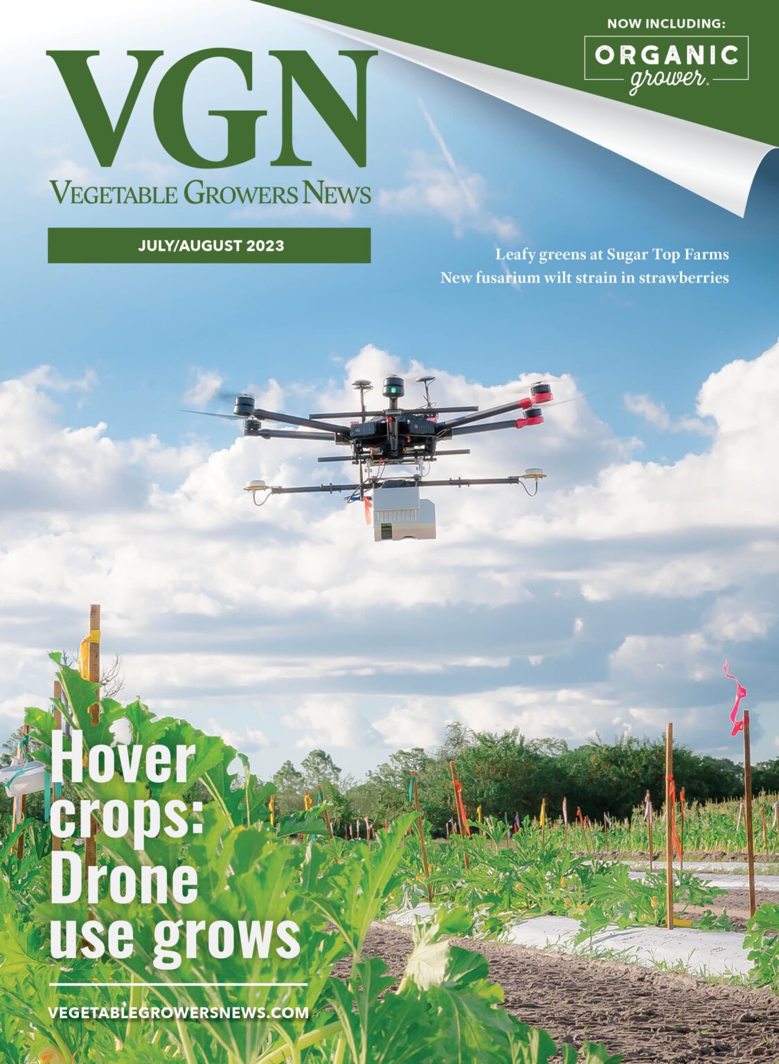JulyAugust 2023 Vegetable Growers News