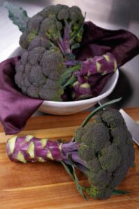 Broccoli Purple Magic