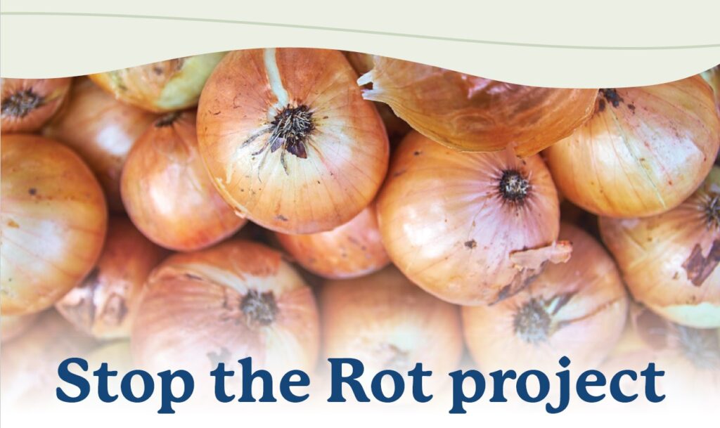 stop the rot project