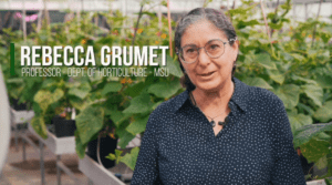 Rebecca-Grumet