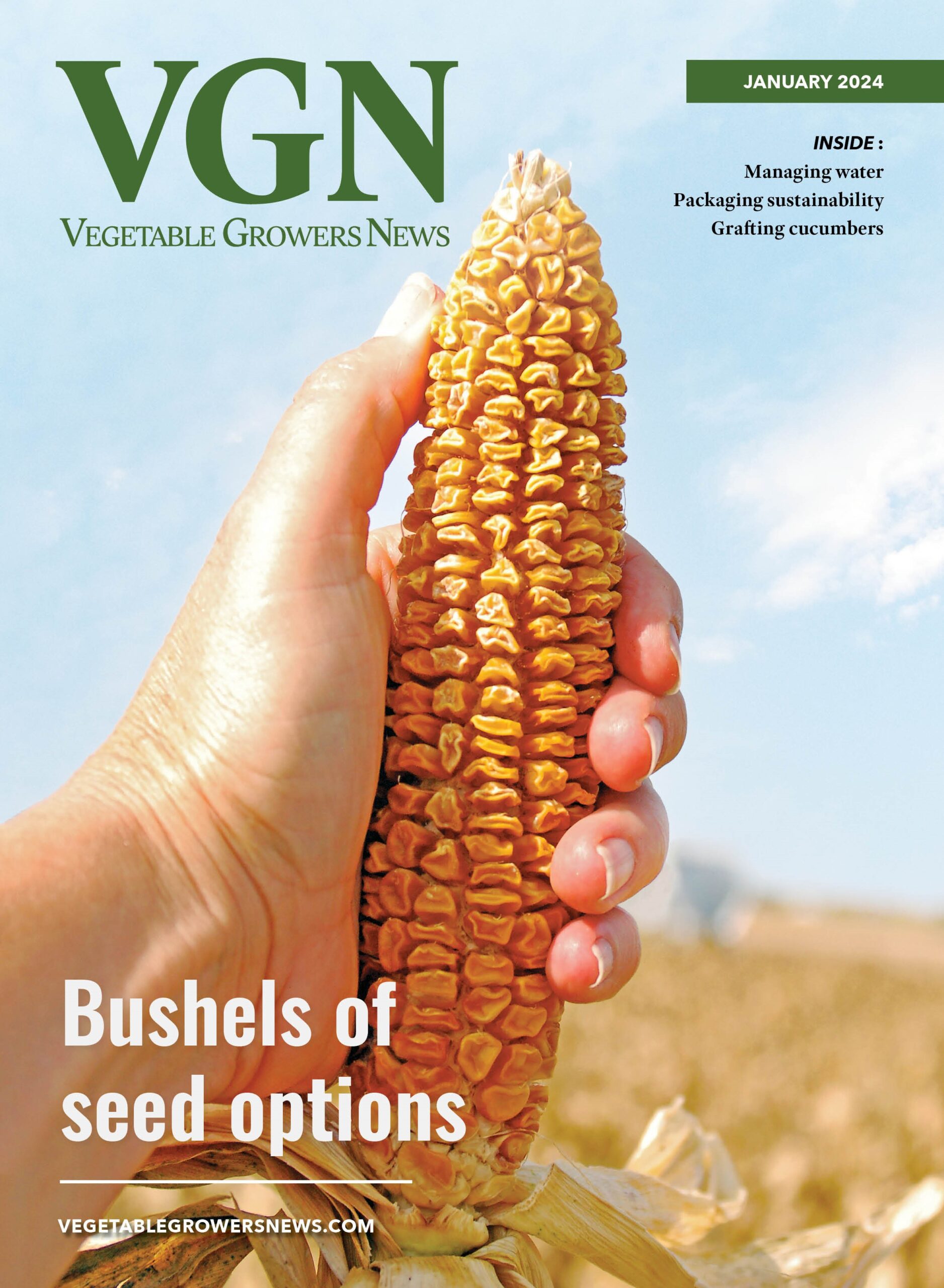 January 2024 Vegetable Growers News