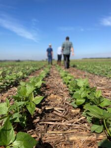 Agmatix Field Trial - Brazil