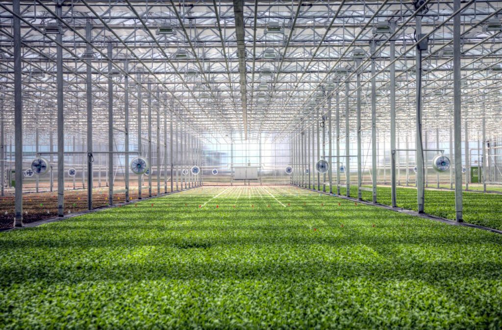 Bright Farms has opened a new greenhouse in Texas