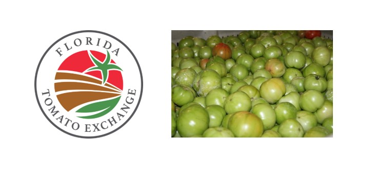 Florida Tomato Exchange green tomatoes feature