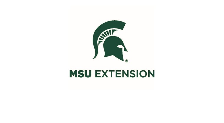 MSU Michigan State Extension logo feature