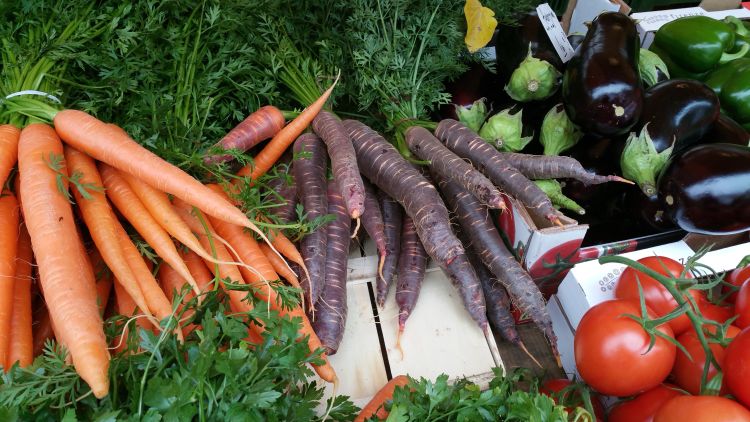 Michigan State University extension vegetables carrots roots tomatoes greens