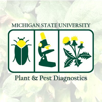 MSU Michigan State Plant & Pest Diagnostics