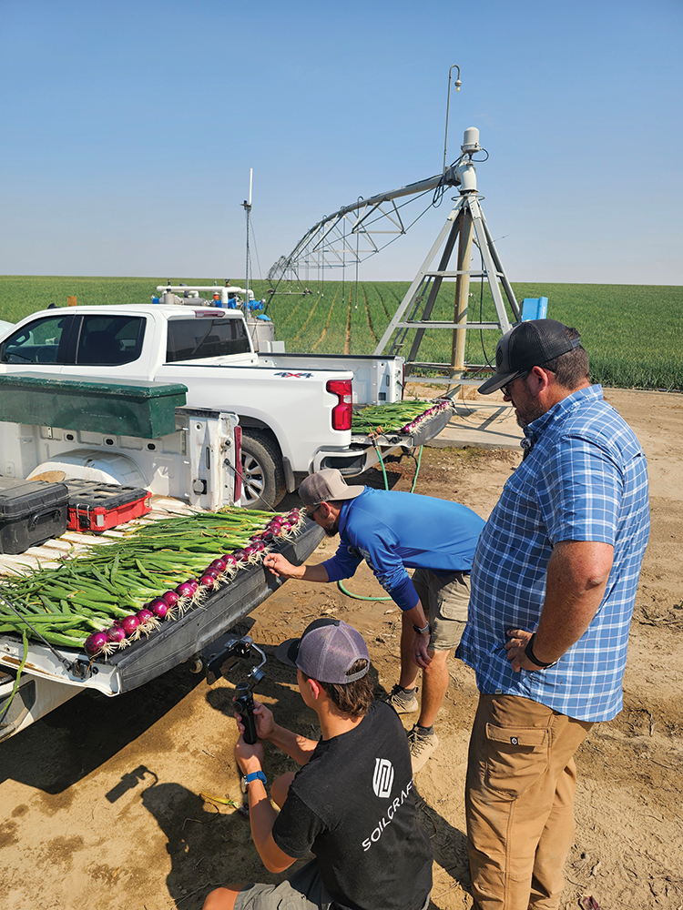 Regenerative biological product and chemical treatments being trialed on red onions for pink root fungal disease. Photo courtesy of Soilcraft.