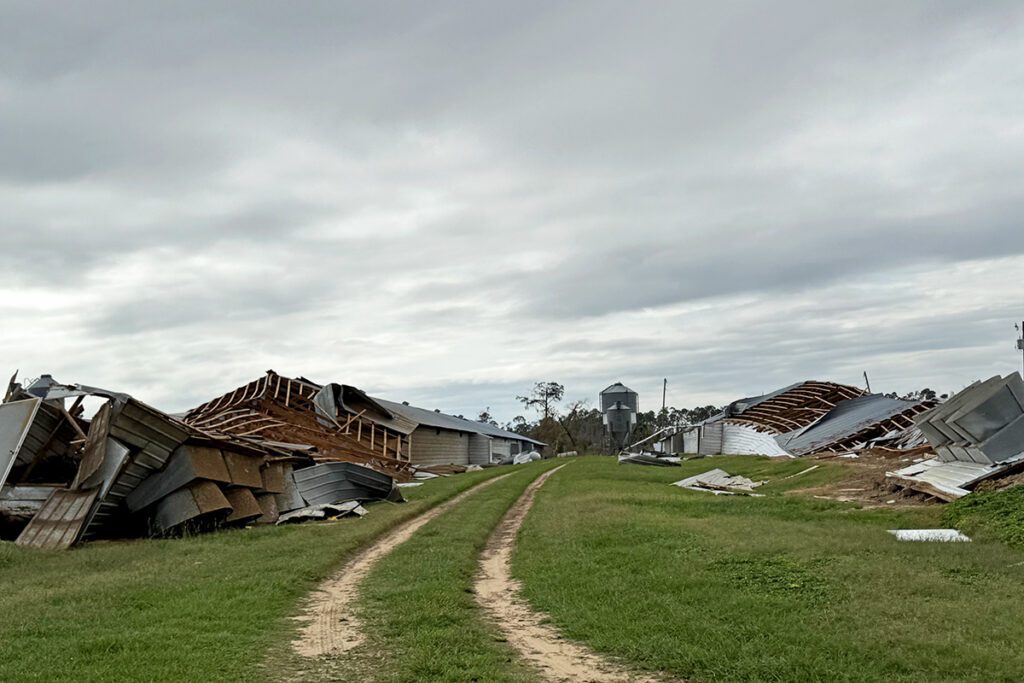 Agriculture is Georgia’s No. 1 industry – contributing more than $83 billion to the state’s economy on an annual basis and employing more than 320,000 Georgians. On Sept. 26, 2024, Hurricane Helene ripped through Georgia, leaving catastrophic damage in her wake and devastating the state’s agricultural community and thousands of farm families in its path with an estimated impact of $6.46 billion. Photo courtesy of CAES UGA Cooperative Extension.