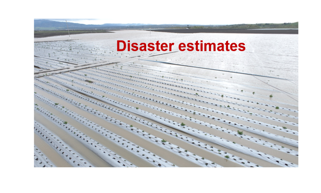 disaster estimates