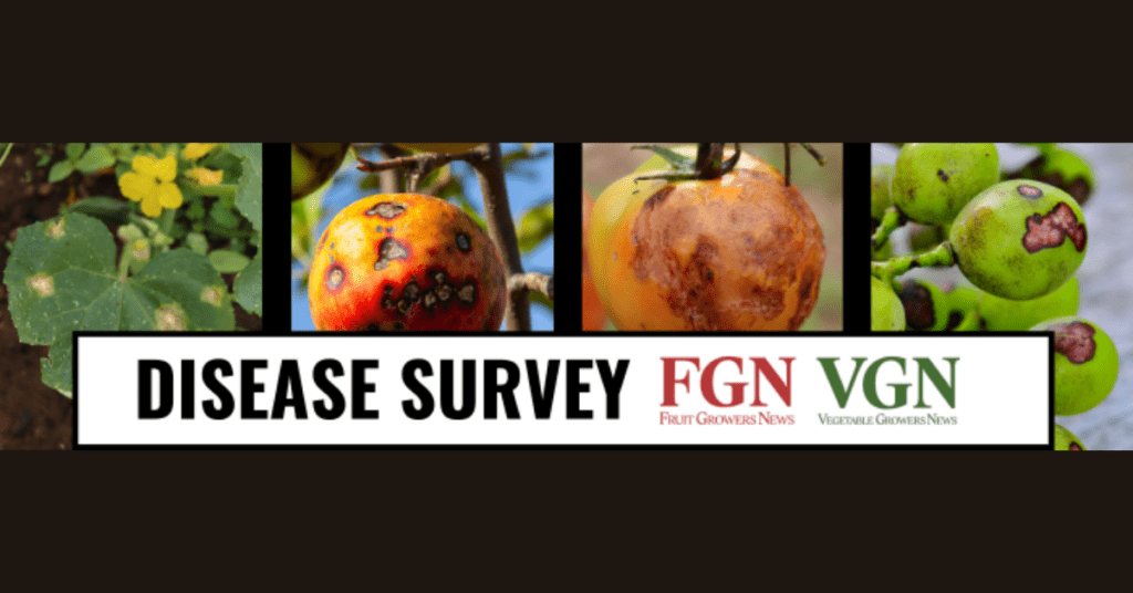Fruit and Vegetable Disease survey feature image