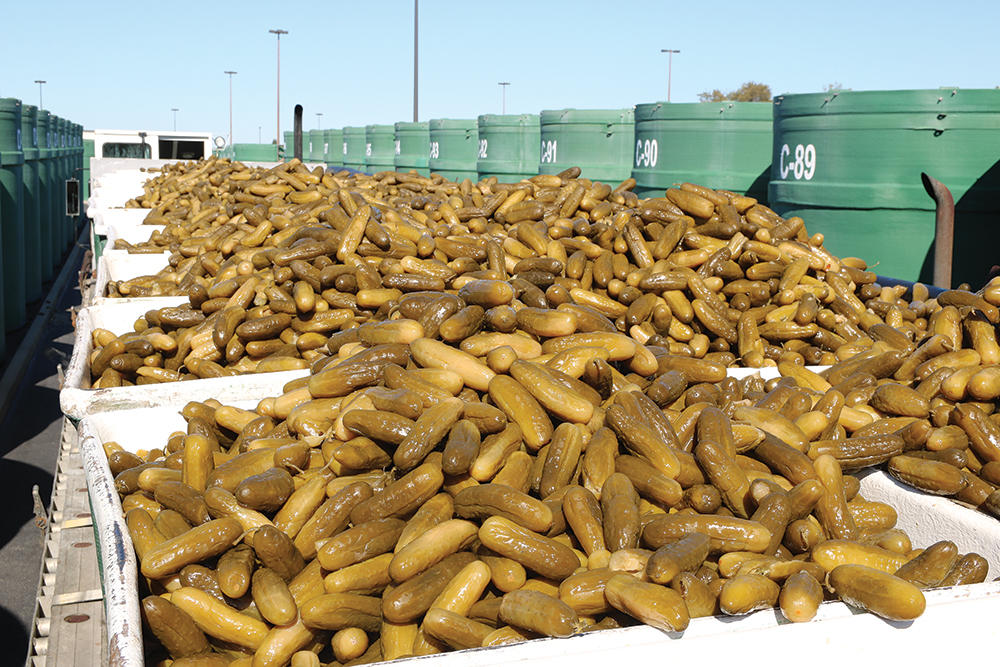 Hartung Bros. has the ability to store millions of bushels of fermented cucumbers in brine tanks to sell to processors later. Photo courtesy of Hartung Brothers.