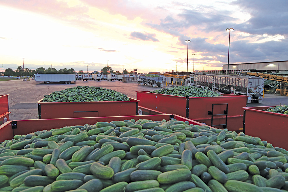 The vertically oriented Hartung Bros. grows, harvests and processes pickling cucumbers, and is in custom farming as well as logistics. Photos courtesy of Hartung Bros.