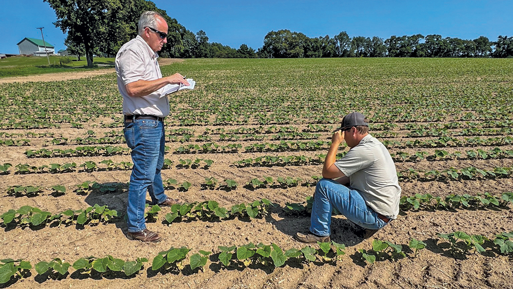 Dan Hartung, CEO, and Nathan Hughes, field representative, in a field of pickling cucumbers in Sturgis, Michigan. Photo courtesy of Hartung Brothers.