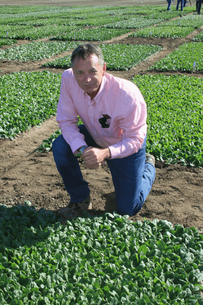 Jim Correll, a University of Arkansas plant pathologist, specializes in spinach disease research, including in the Salinas Valley. While incidents of spinach downy mildew remain low, he says the disease is challenging because it continues to develop new strains. Photo by Bob Johnson. 