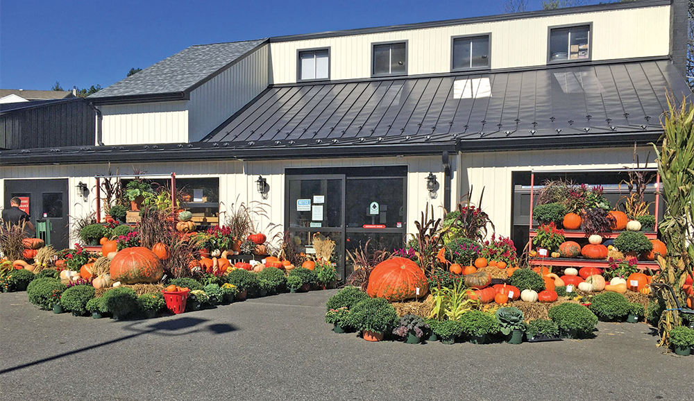 farm market pumpkins