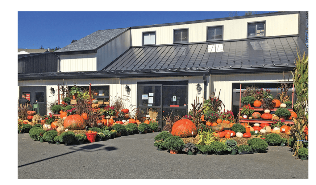 farm market pumpkins
