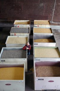 Blonde-haired woman leaning against a giant bin of seeds, surrounded by other seed bins
