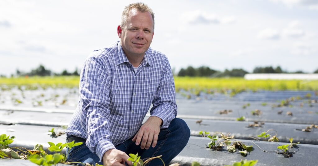 Man kneeling in a field with small plants growing through plastic mulch.
