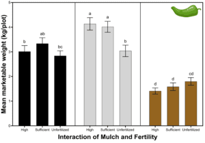 Bar graph detailing the effect of mulch type and fertility on yield